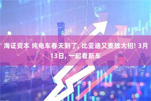 海证资本 纯电车春天到了, 比亚迪又要放大招! 3月13日, 一起看新车