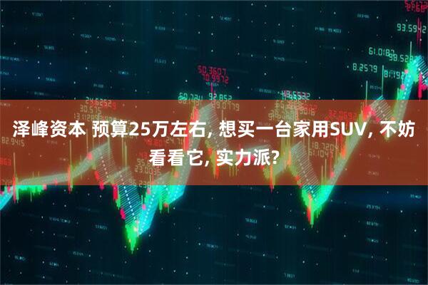 泽峰资本 预算25万左右, 想买一台家用SUV, 不妨看看它, 实力派?