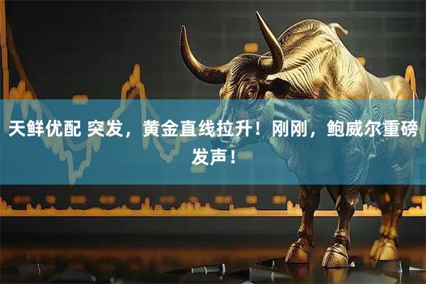 天鲜优配 突发，黄金直线拉升！刚刚，鲍威尔重磅发声！